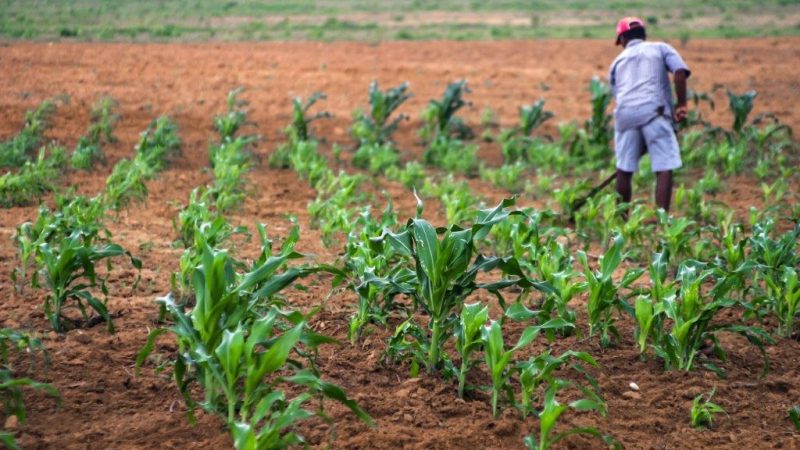Segurança na comunidade: Período chuvoso exige cuidados redobrados com energia elétrica na zora rural