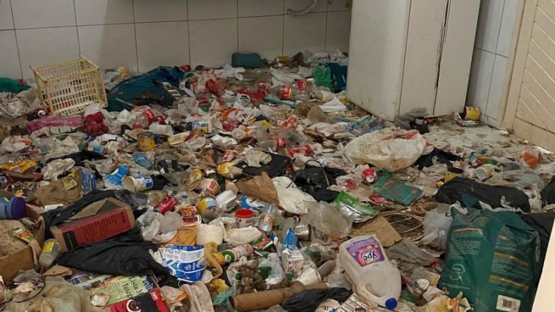 Justiça determina soltura de psicóloga que abandonou filho e 23 cachorros em Mossoró