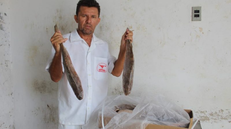 Prefeitura de Mossoró vai retomar venda do peixe da Semana Santa