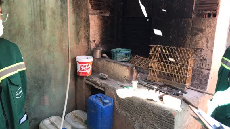 Serviço de Inspeção Municipal fiscaliza ponto de abate de suínos em Mossoró￼