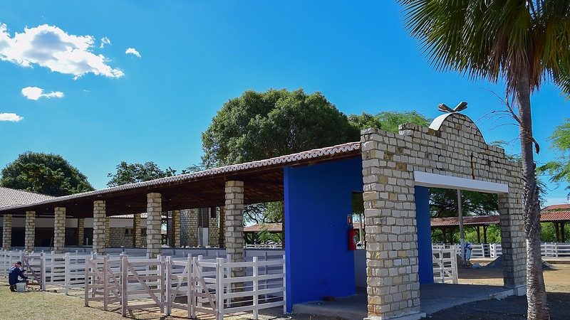 Mais de mil animais são esperados nesta quarta-feira no Parque Armando Buá