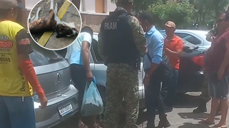 Homem que deixou cachorro trancado dentro de carro é preso por maus-tratos