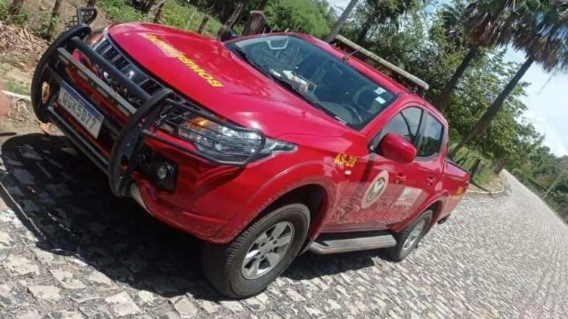 Dois homens e cachorro morrem após ataques de abelhas no interior do RN