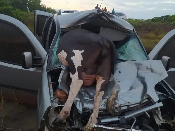 Carro fica destruído após bater em vaca na BR-101 no RN