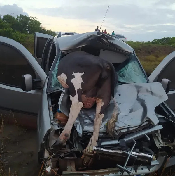 Carro fica destruído após bater em vaca na BR-101 no RN