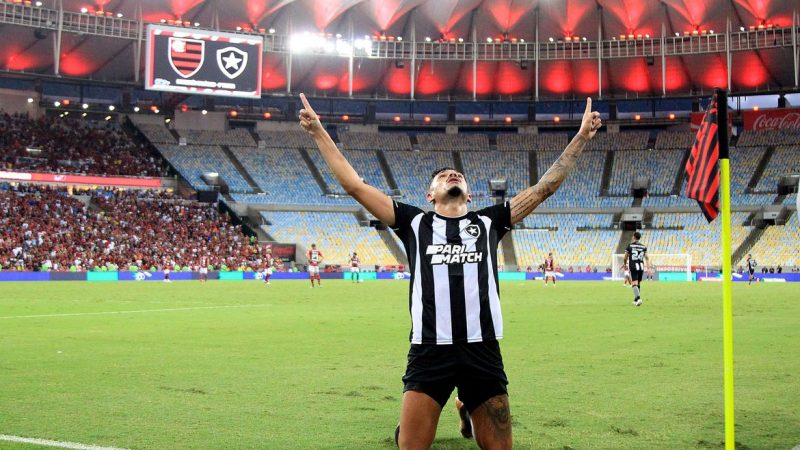 Botafogo é o novo líder do Brasileirão: confira os resultados