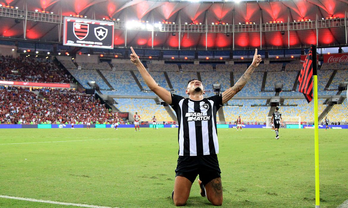 Botafogo é o novo líder do Brasileirão: confira os resultados