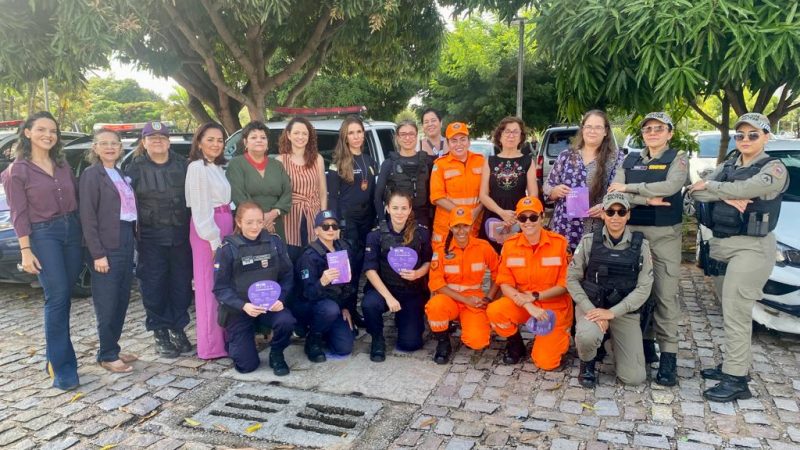 Forças de segurança do RN iniciam operação conjunta de combate à violência doméstica e feminicídio