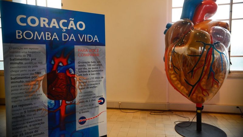 Casos de infarto aumentam 25% no Brasil, em 6 anos
