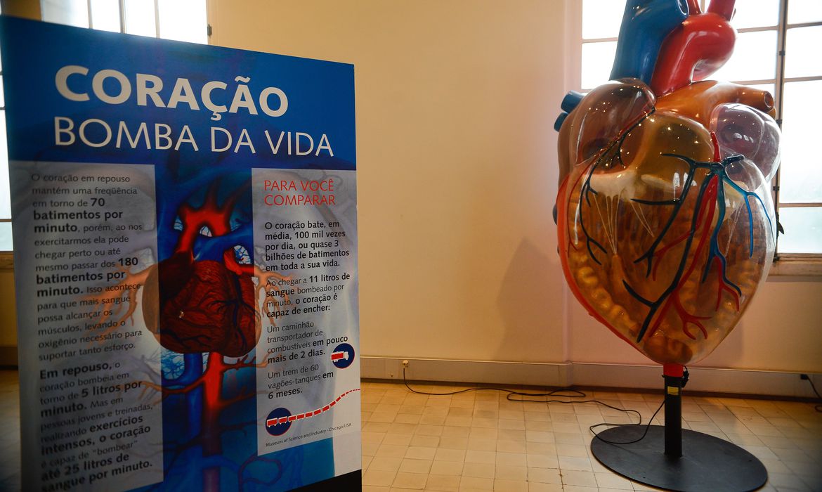 Casos de infarto aumentam 25% no Brasil, em 6 anos