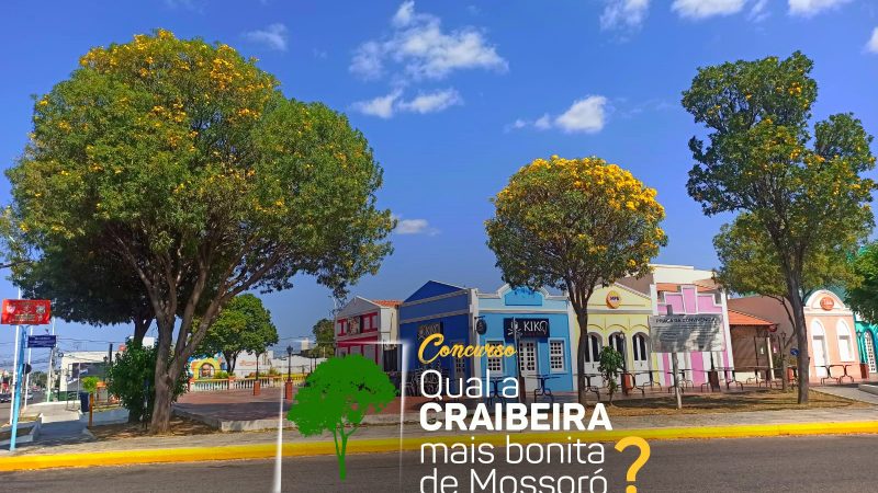 Francisco Carlos quer celebrar a beleza das Craibeiras