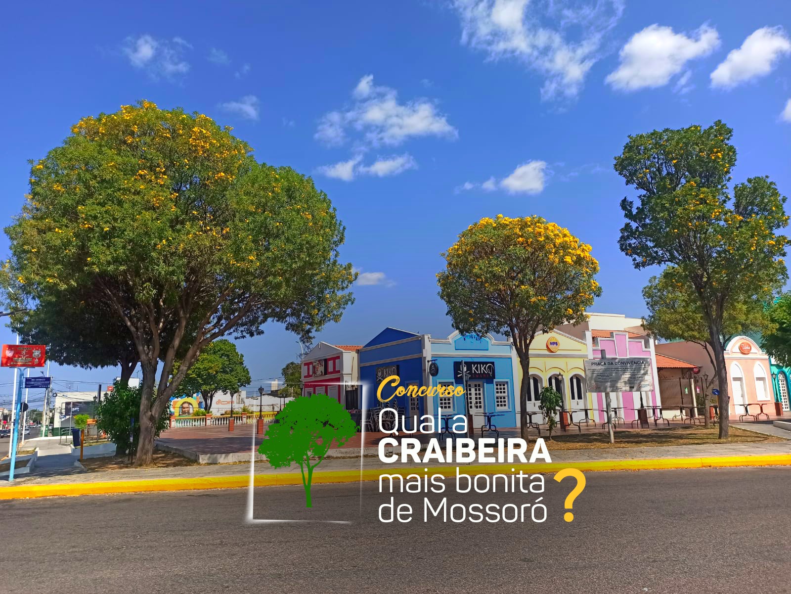 Francisco Carlos quer celebrar a beleza das Craibeiras