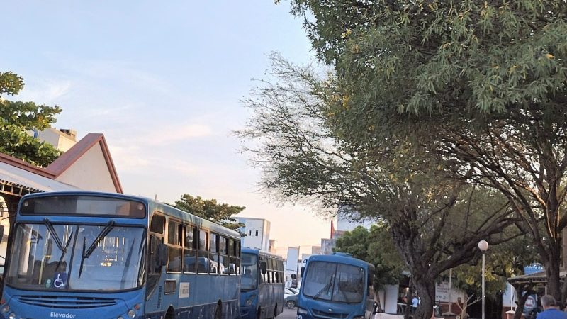 Operação especial ofertará ônibus de graça para Festa das Crianças