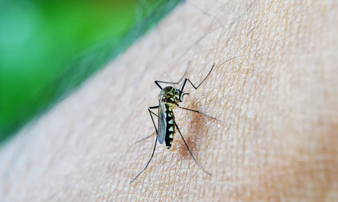 Epidemia de dengue faz Natal decretar emergência em saúde