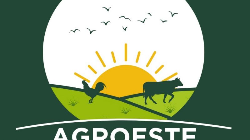 Agroeste fomentará novos nichos da agropecuária do Alto Oeste Potiguar
