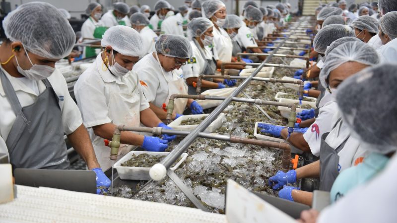 RN estreita relações com a China, e Governo do Estado inicia tratativas para abertura de novos mercados