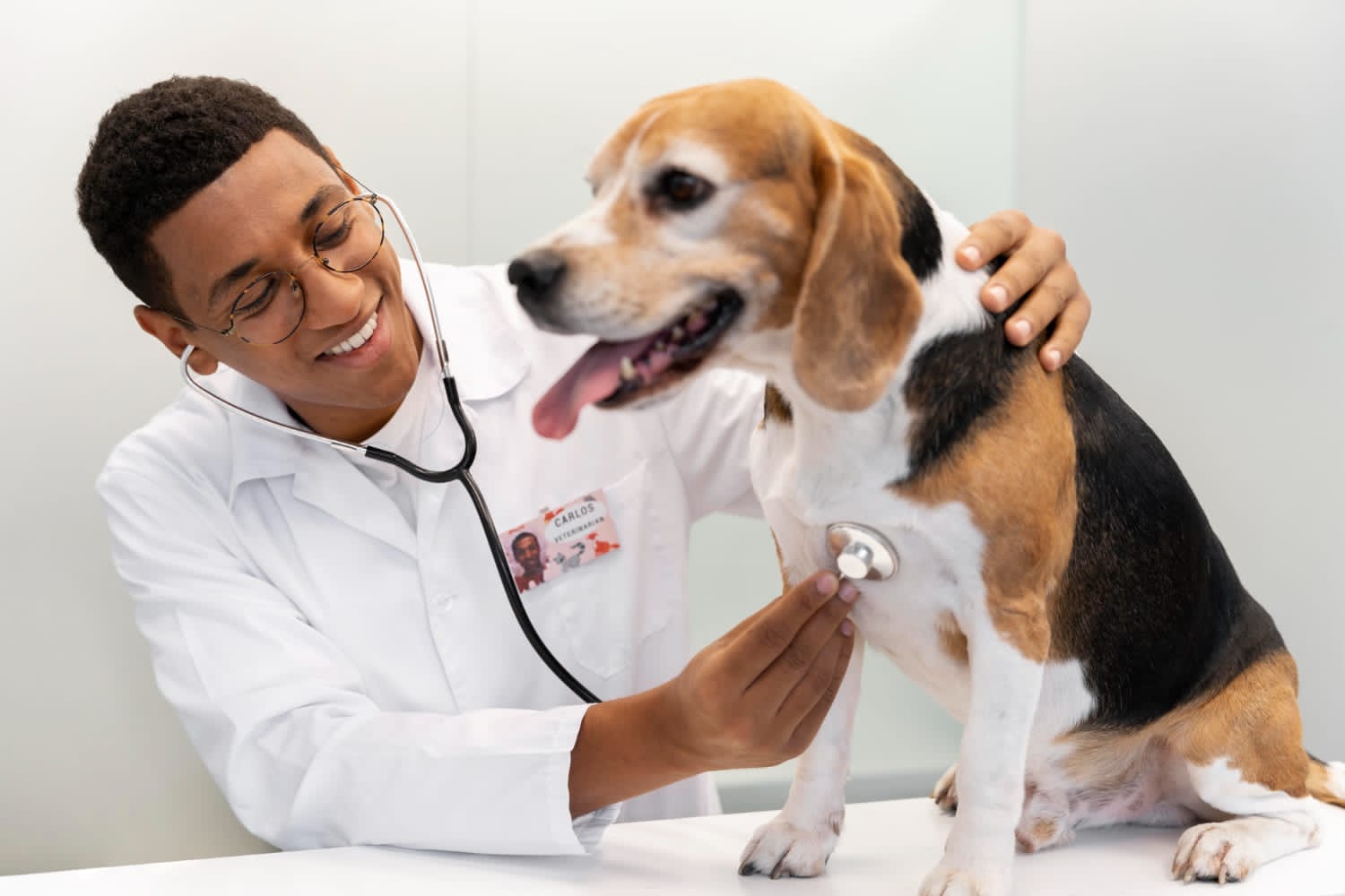 Graduação em Medicina Veterinária chega ao Seridó e vai beneficiar o mercado local
