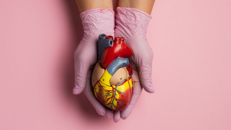 Coração em xeque: doenças cardiovasculares matam 400 mil brasileiros por ano e atingem 20,5 milhões de pessoas no mundo
