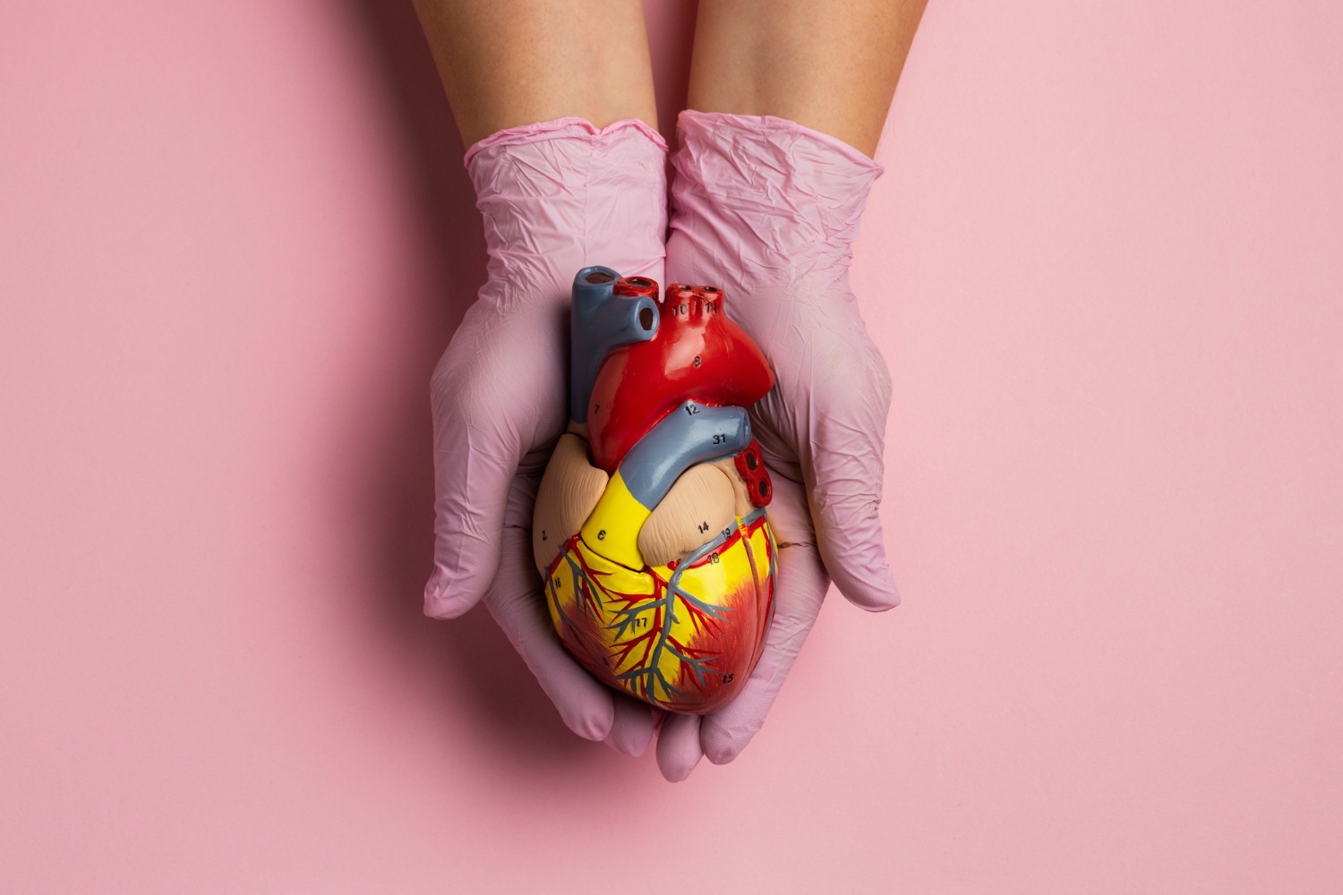 Coração em xeque: doenças cardiovasculares matam 400 mil brasileiros por ano e atingem 20,5 milhões de pessoas no mundo
