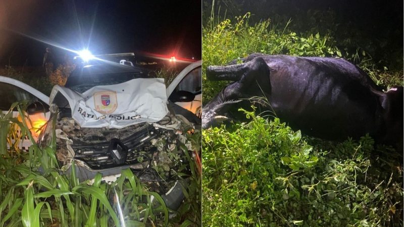 Viatura da PM atinge vaca e sai da pista na BR-405 no RN