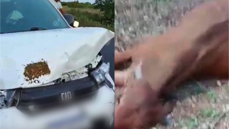 Filho do cantor Neto Araújo, ex-Cavaleiros do Forró, sofre acidente a caminho do velório do pai