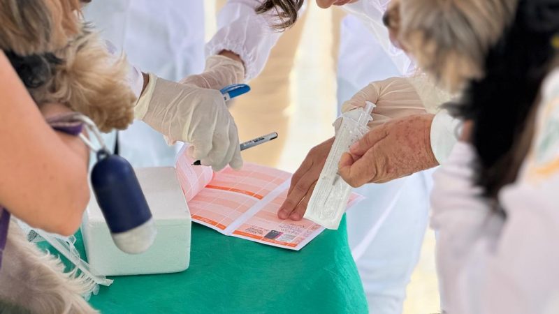Centro Médico Veterinário da UnP é ponto de vacinação antirrábica