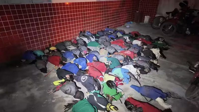 Polícia apreende 77 galos de briga e conduz mais de 50 pessoas à delegacia em Mossoró